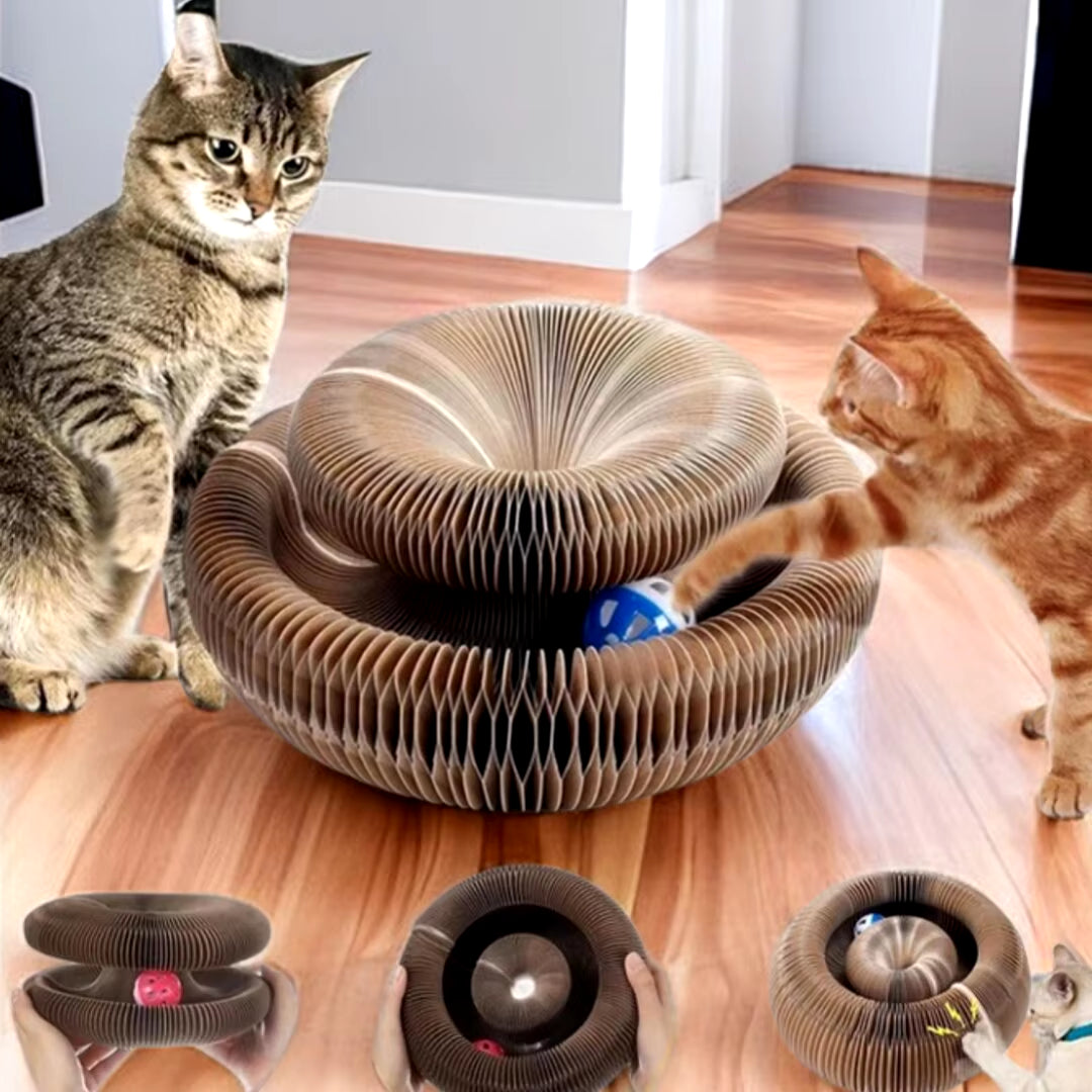  Round Corrugated Scratching Toy with 