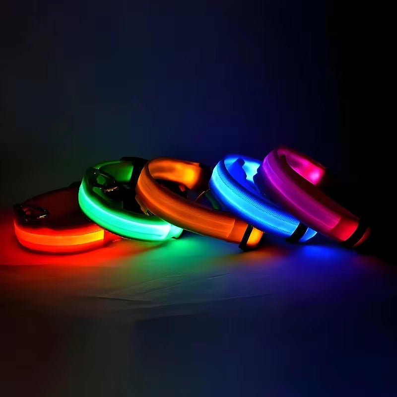 LED Nylon Dog Collar for Night Safety