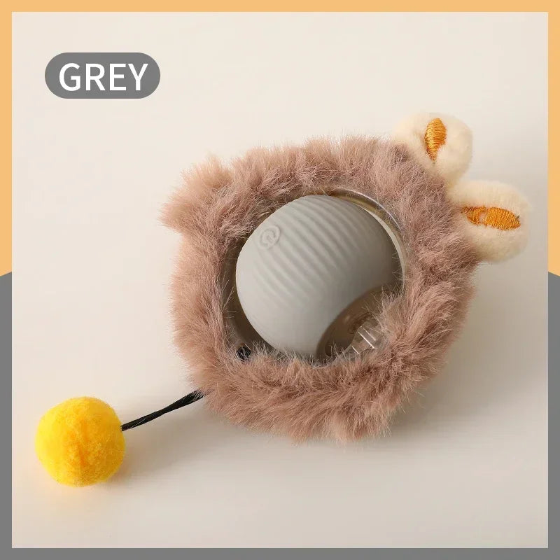 Interactive Pet Ball Toy