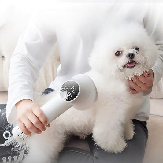 Pet Intelligent Hair Dryer for Dog/Cat – LED Display, Temperature & Wind Speed Control