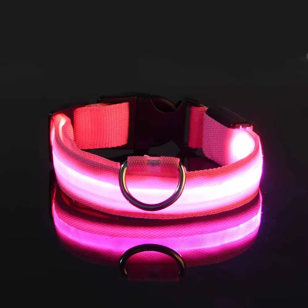 LED Nylon Dog Collar for Night Safety