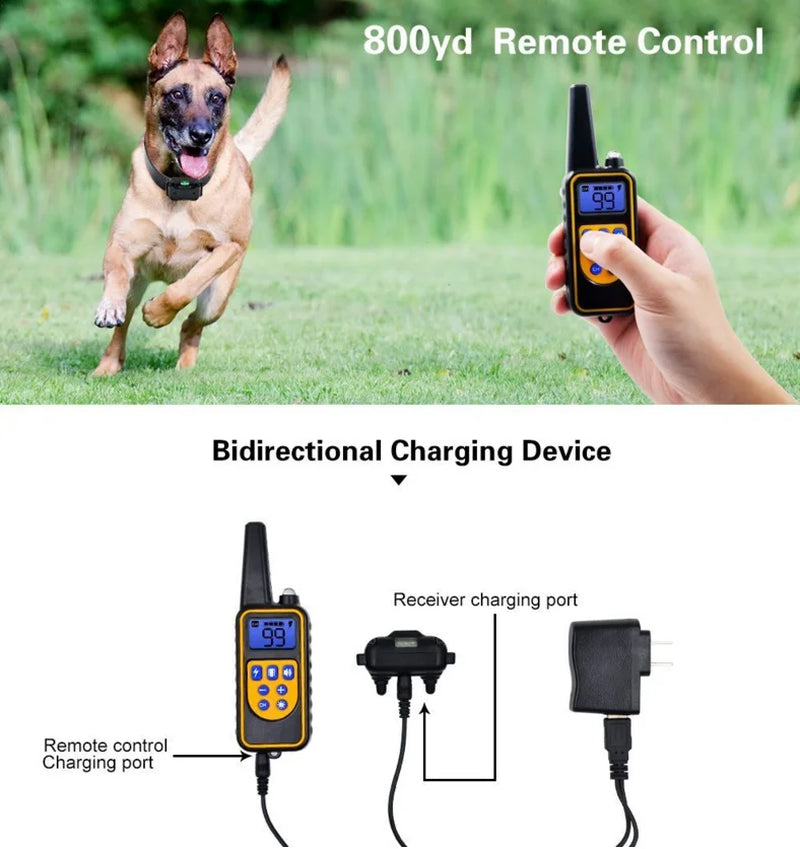 Electric Dog Training Collar_Waterproof