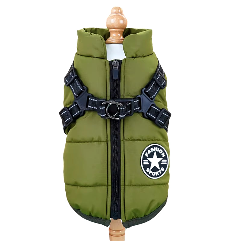 Pet  Jacket with Harness