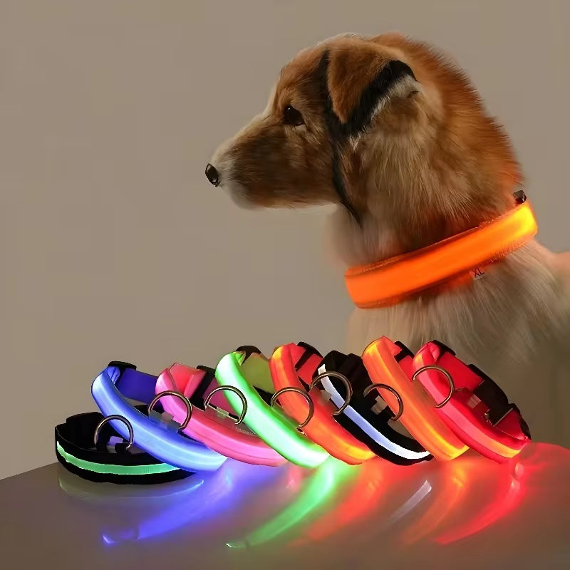 LED Nylon Dog Collar for Night Safety