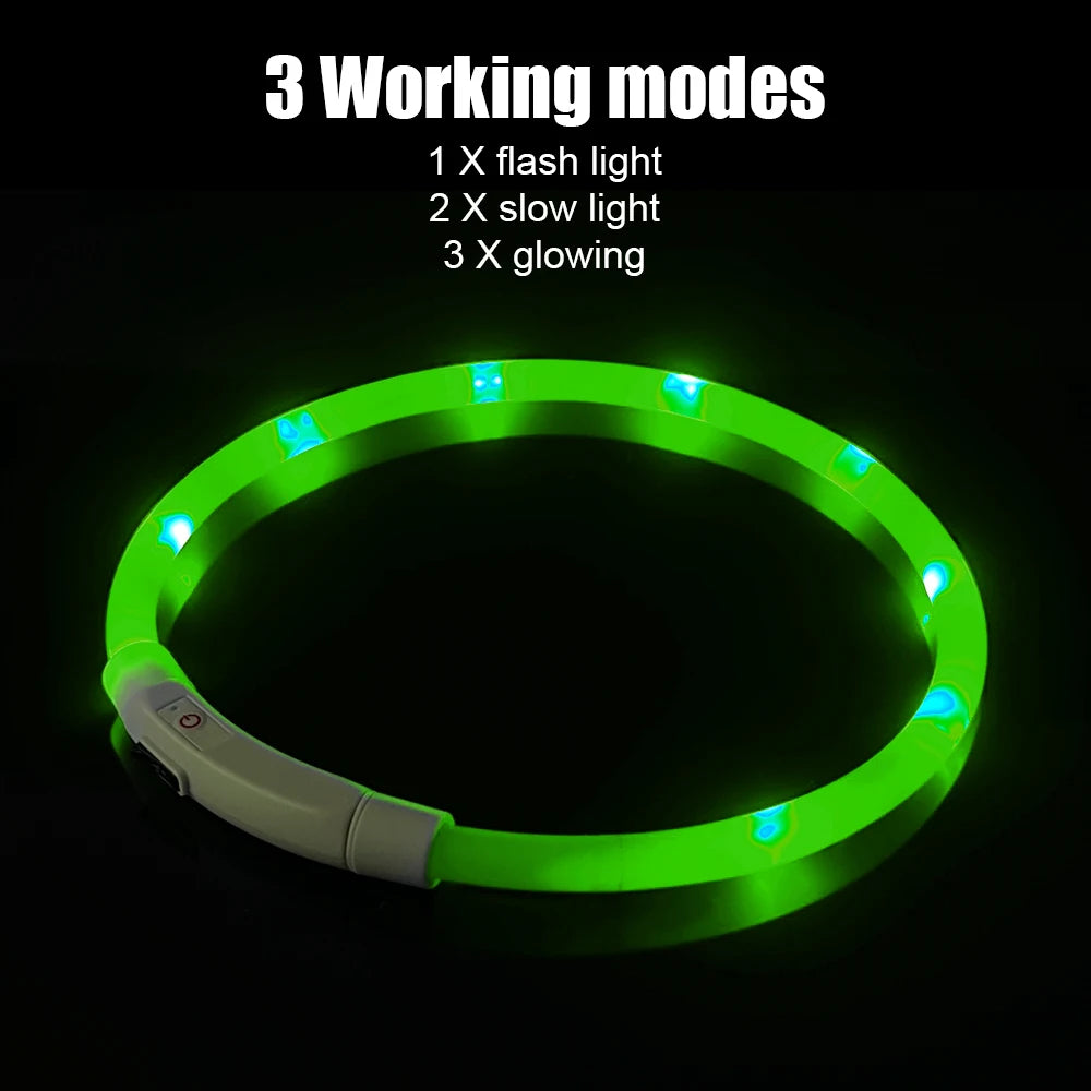 Night Safety Flashing Glow Collar