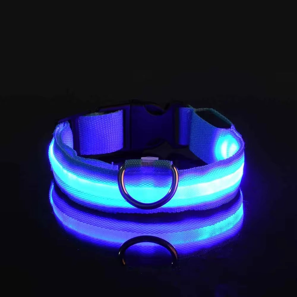 LED Nylon Dog Collar for Night Safety