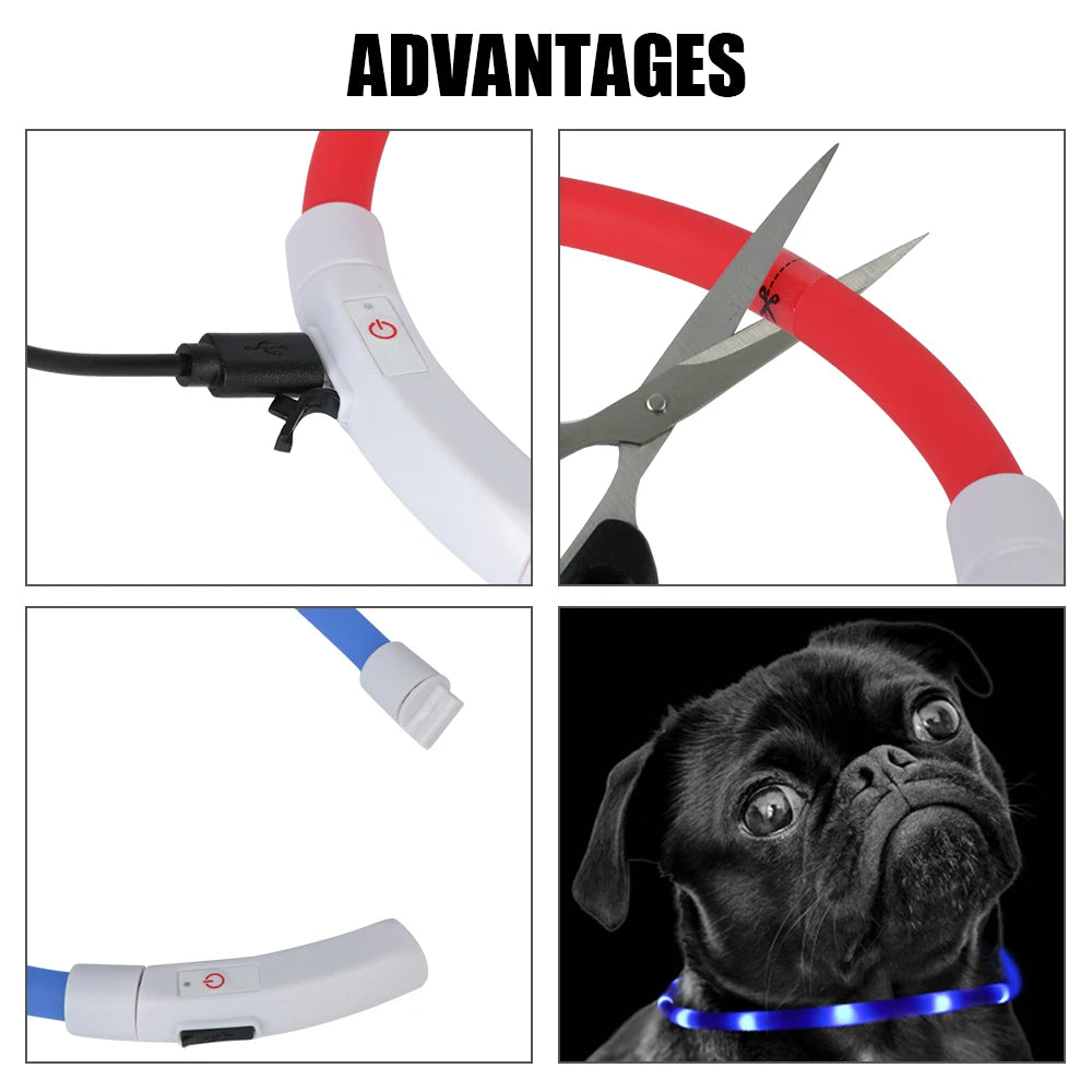 Night Safety Flashing Glow Collar