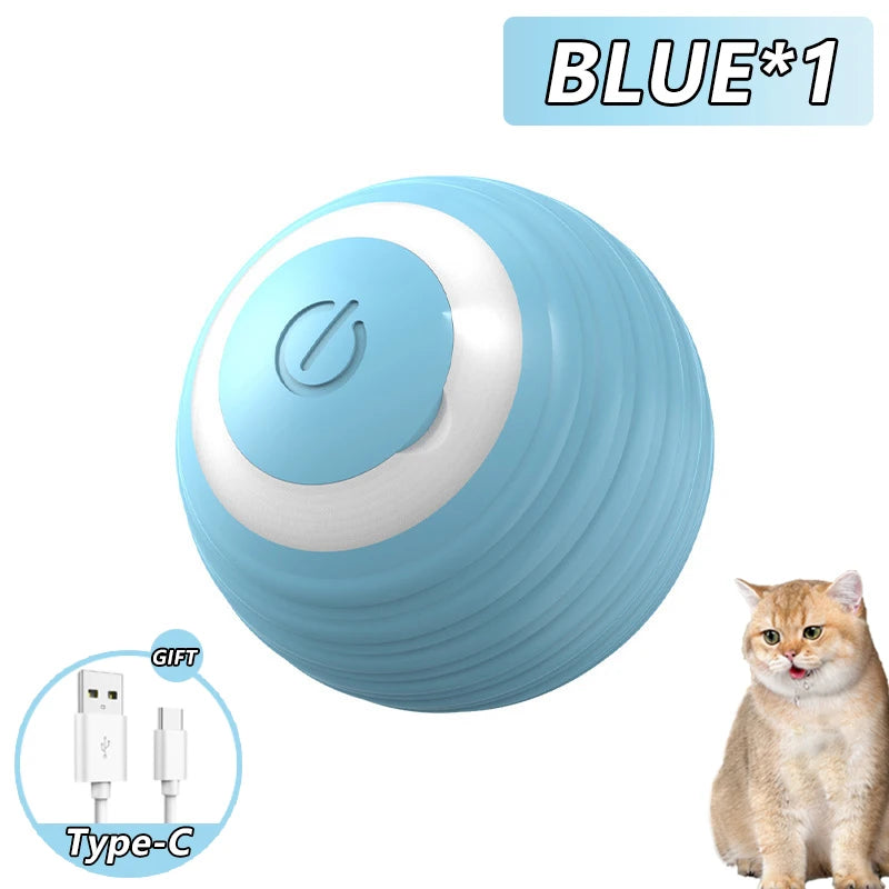 Interactive Pet Ball Toy