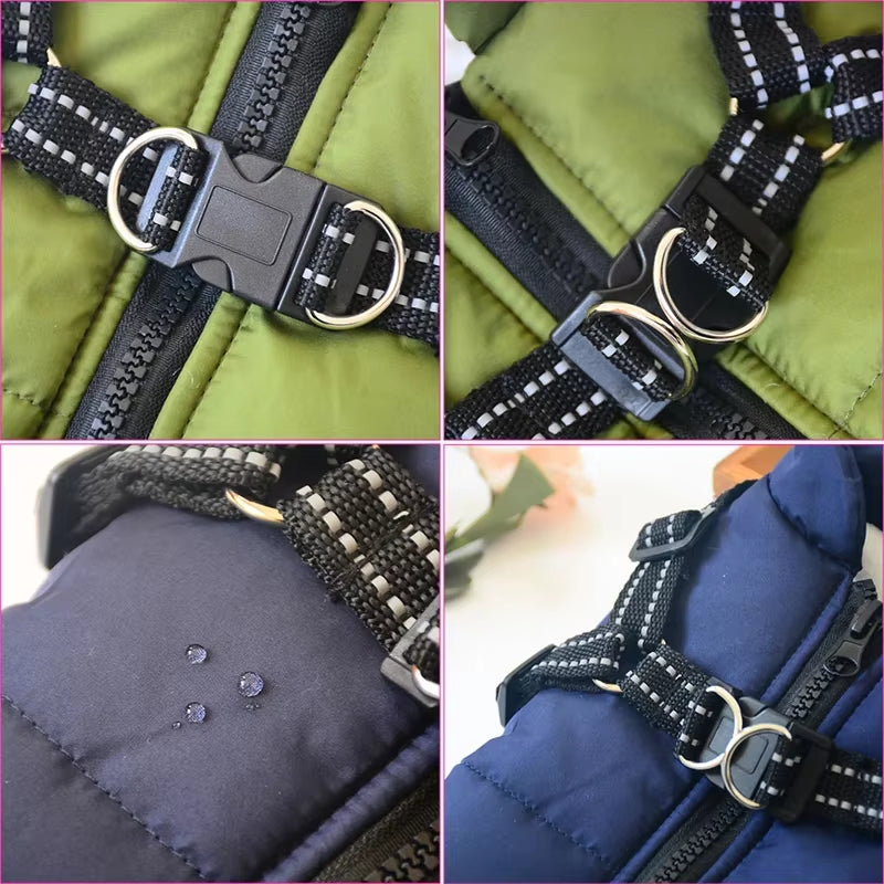 Pet  Jacket with Harness