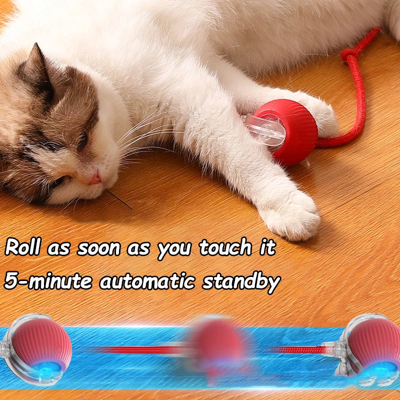 Interactive Pet Ball Toy