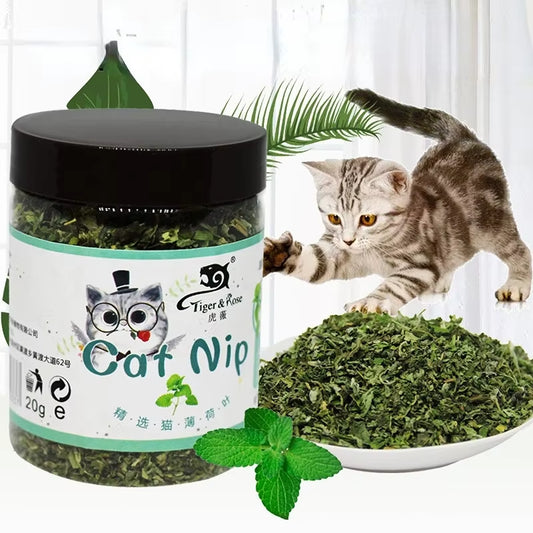 Organic Catnip Cattle Grass Mint