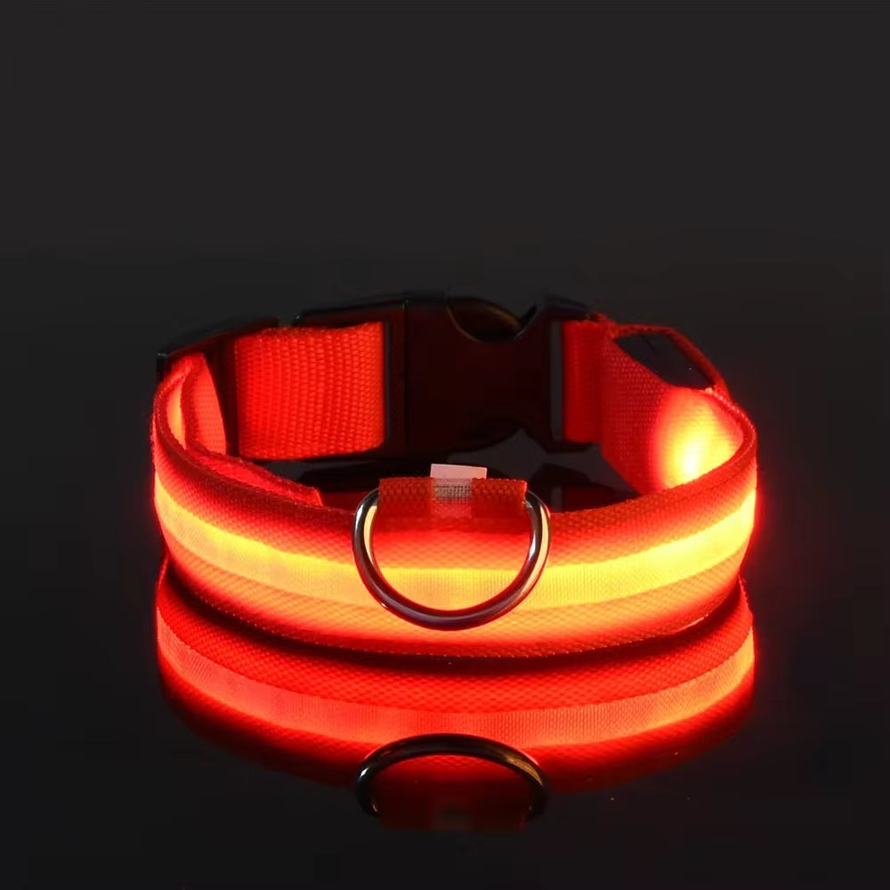 LED Nylon Dog Collar for Night Safety