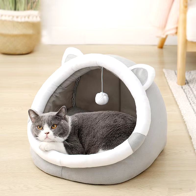 Cute Pet House Lounge