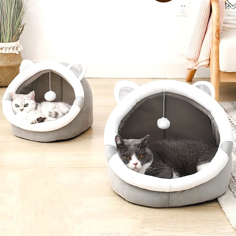 Cute Pet House Lounge