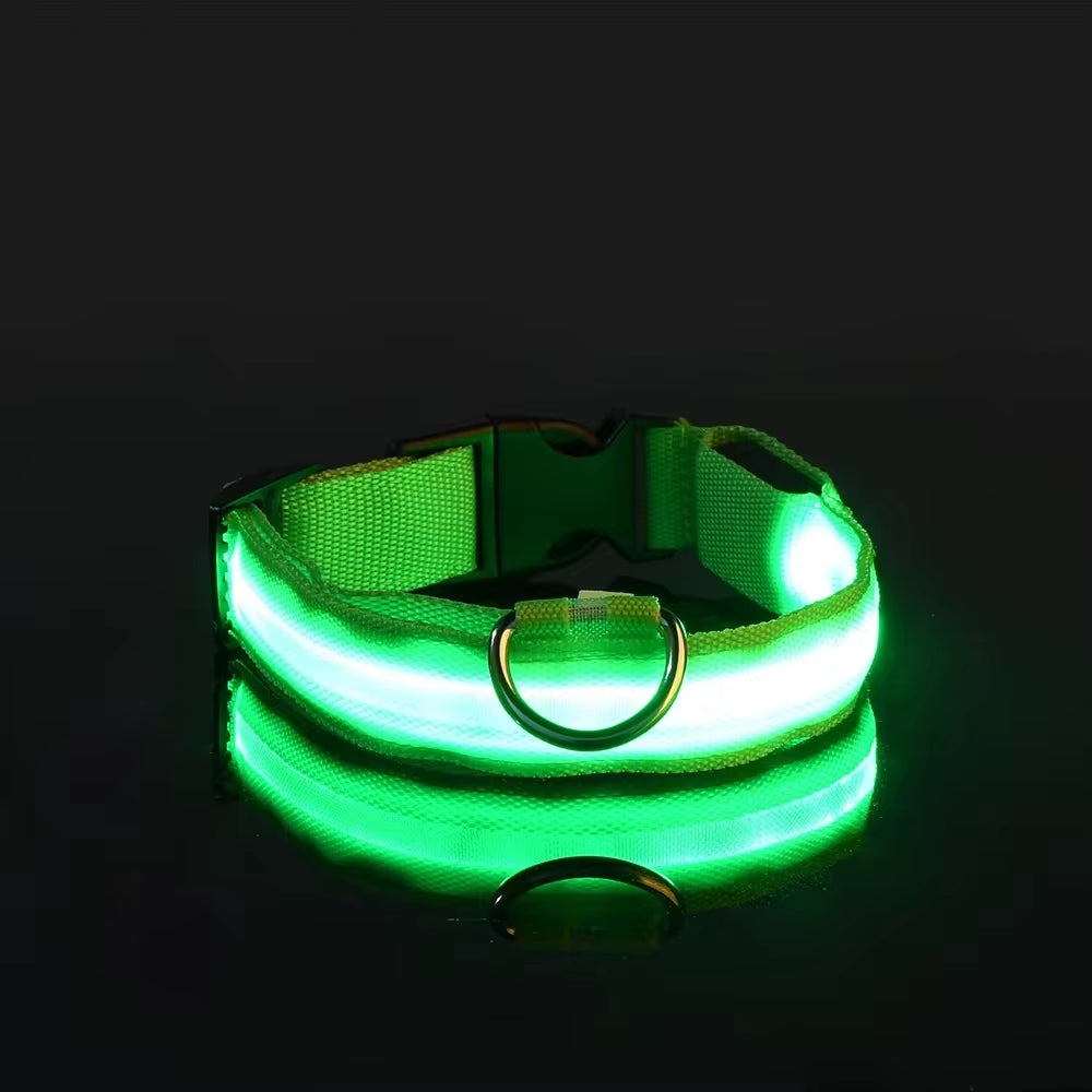 LED Nylon Dog Collar for Night Safety