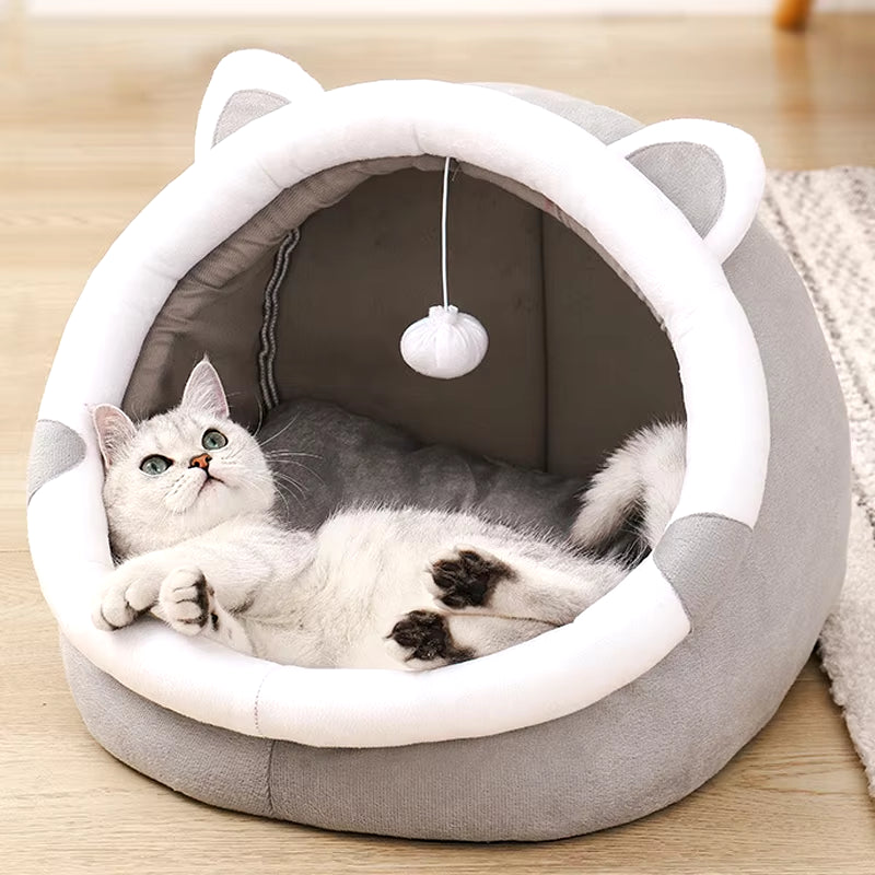 Cute Pet House Lounge