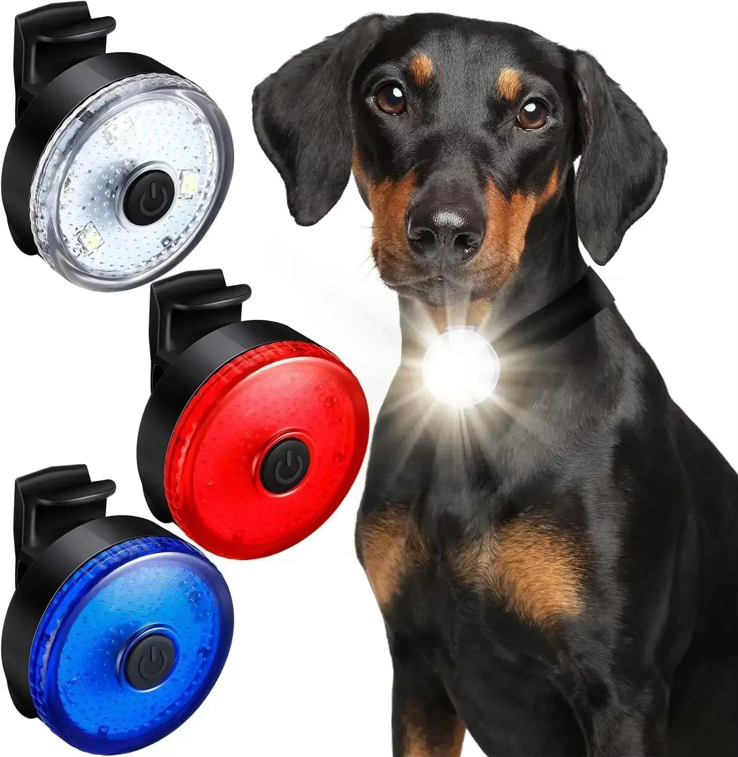 LED Light Dog Collar