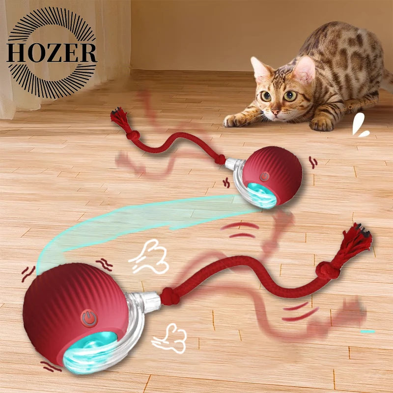 Interactive Pet Ball Toy