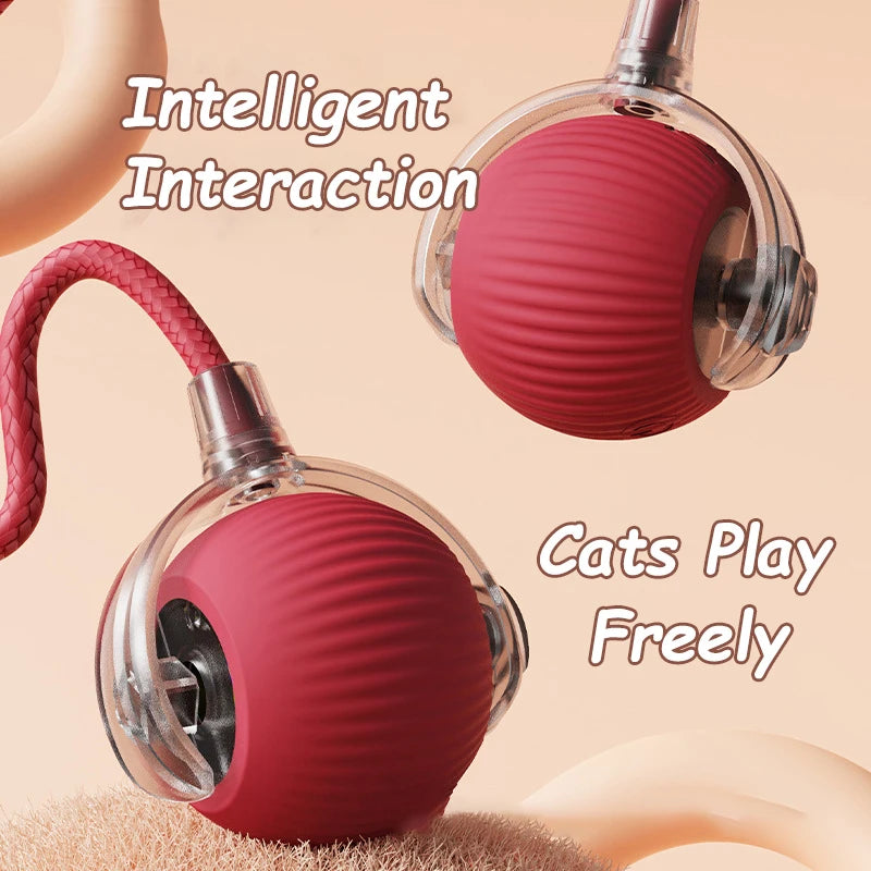 Interactive Pet Ball Toy