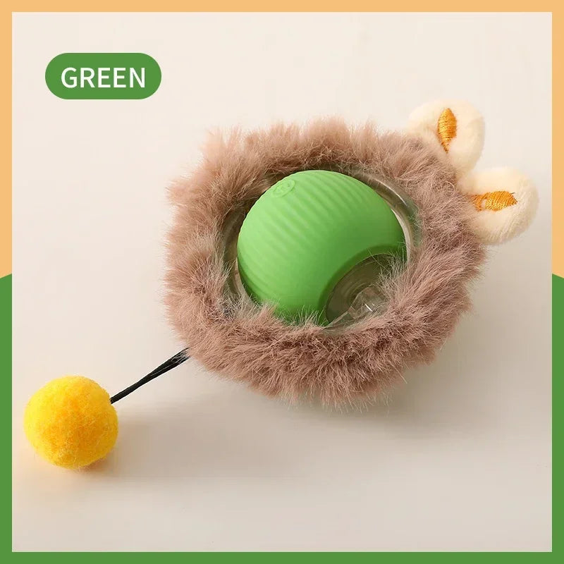 Interactive Pet Ball Toy