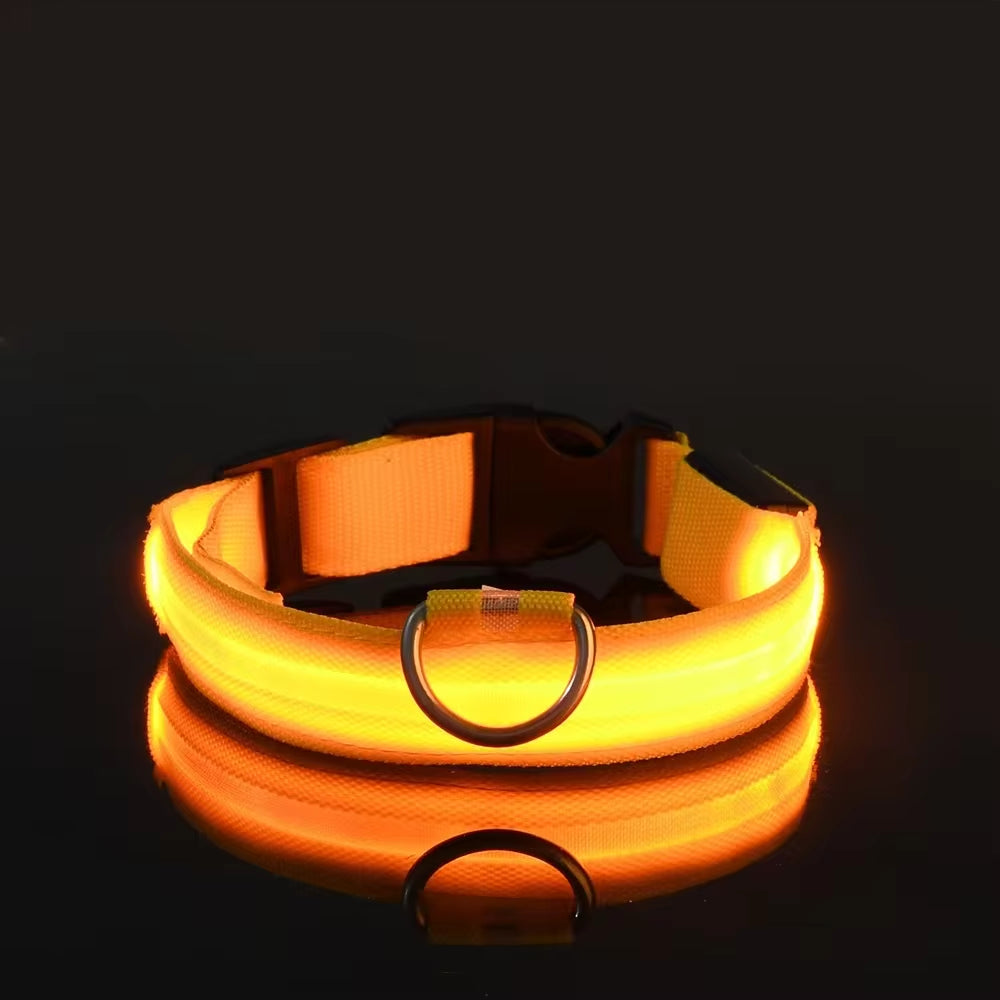 LED Nylon Dog Collar for Night Safety