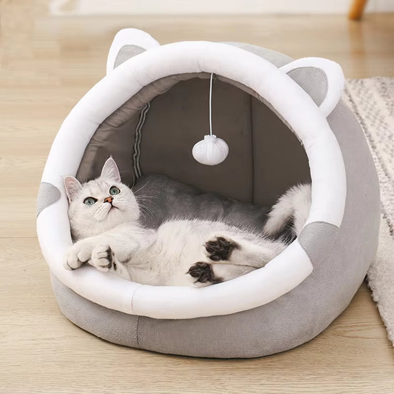 Cute Pet House Lounge