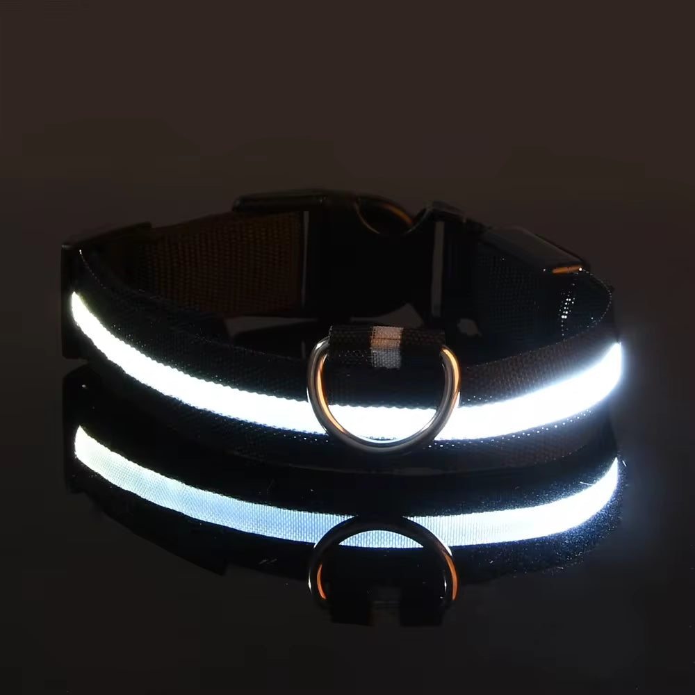 LED Nylon Dog Collar for Night Safety