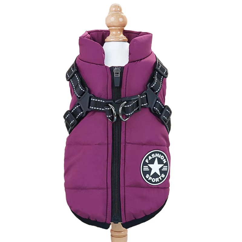 Pet  Jacket with Harness