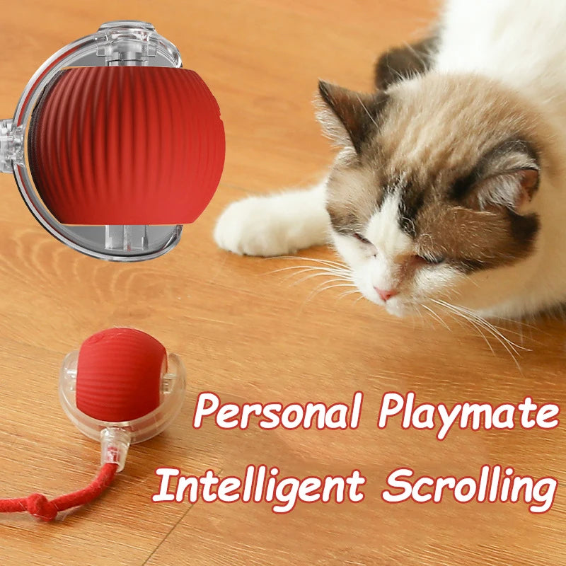 Interactive Pet Ball Toy