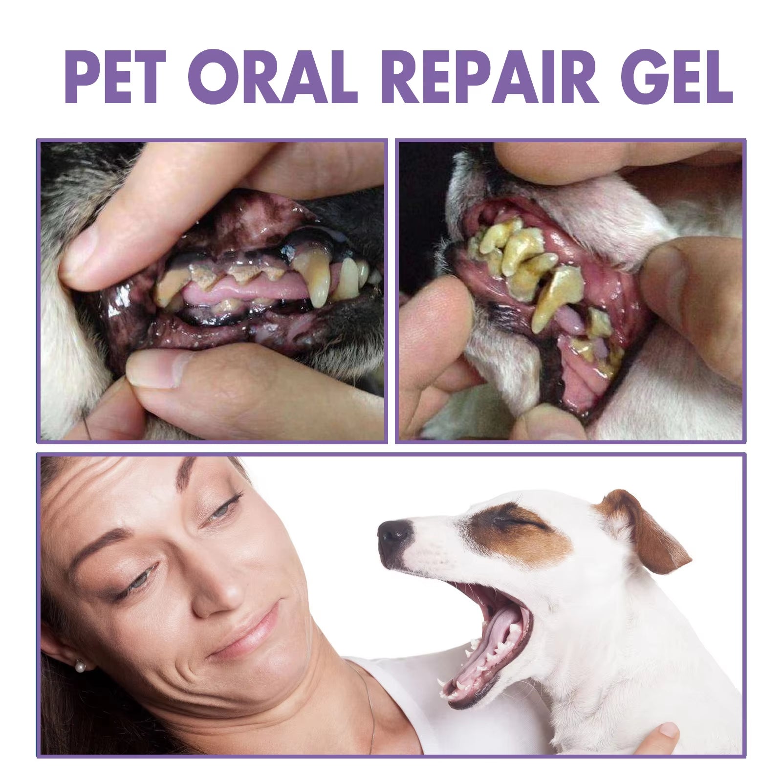  Deep Cleaning for Dog & Cat Tooth Stains and Oral Care