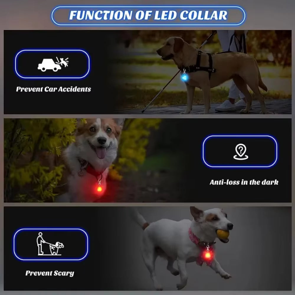 LED Pet Pendant Collar Light