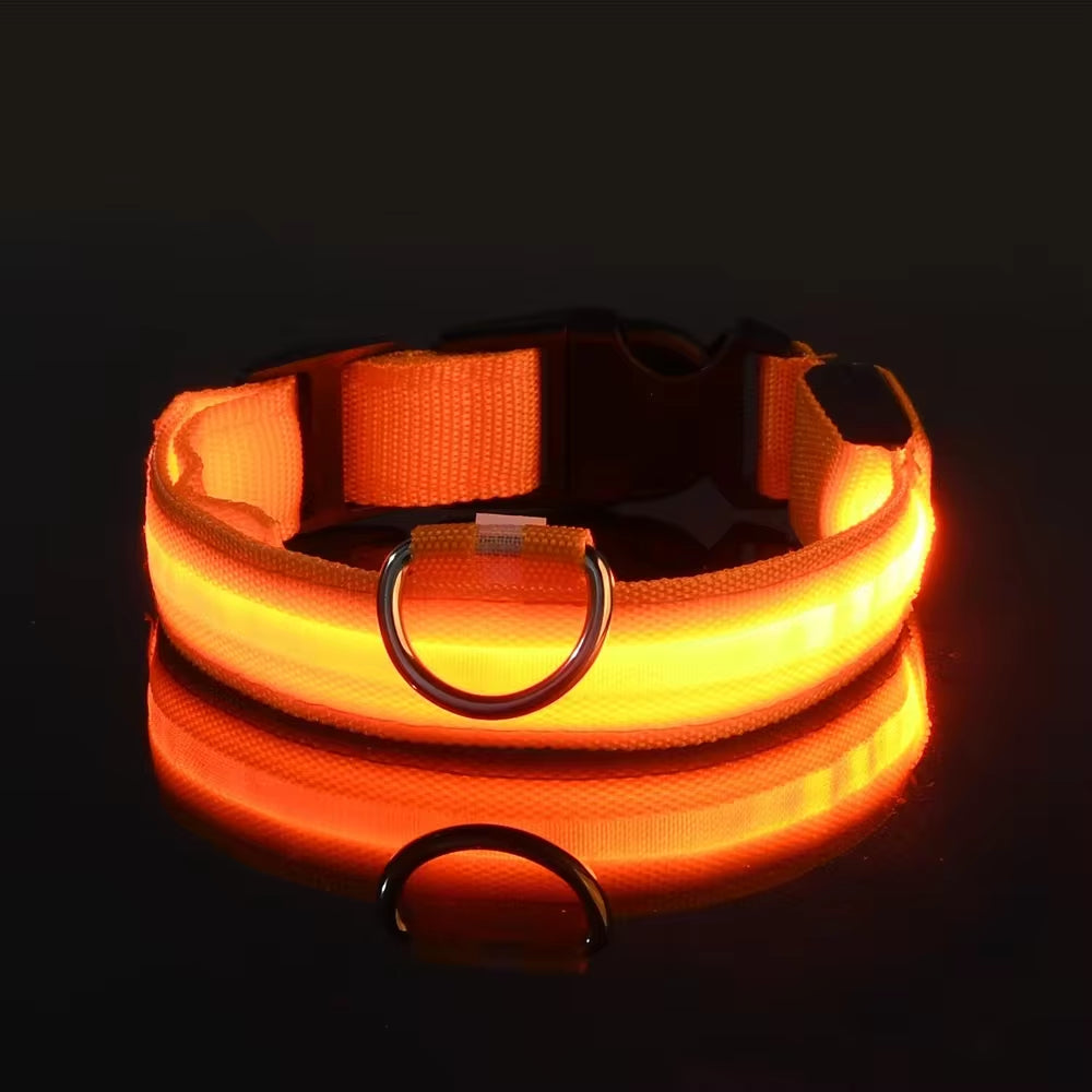 LED Nylon Dog Collar for Night Safety