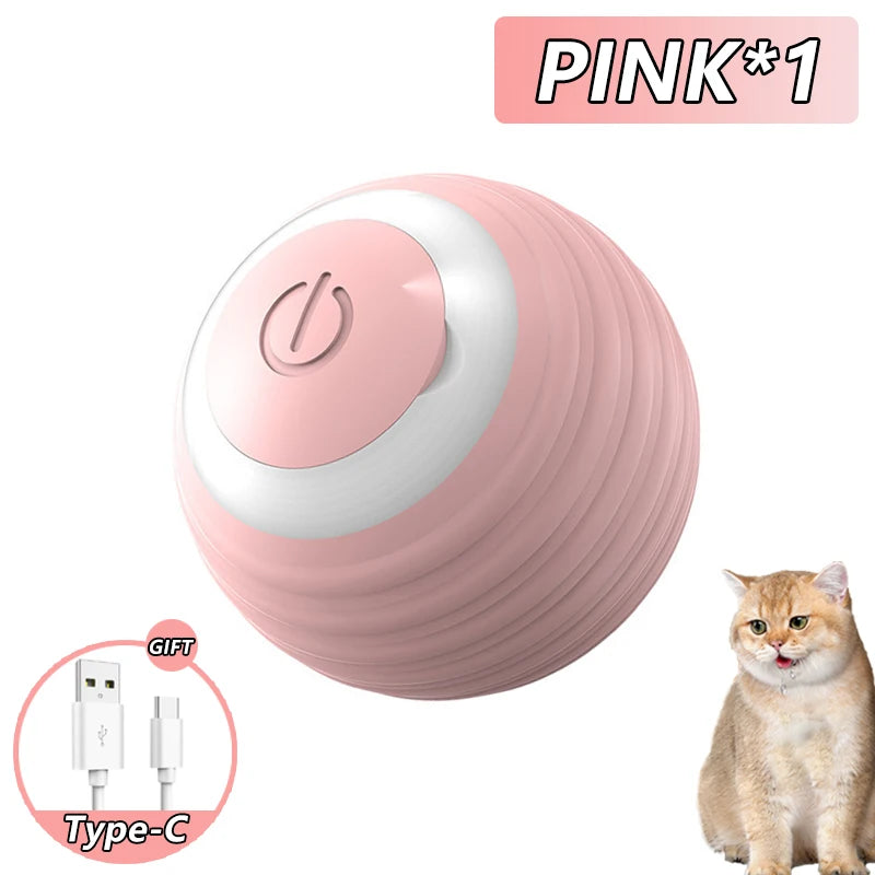 Interactive Pet Ball Toy