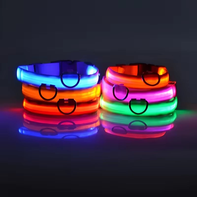 LED Nylon Dog Collar for Night Safety