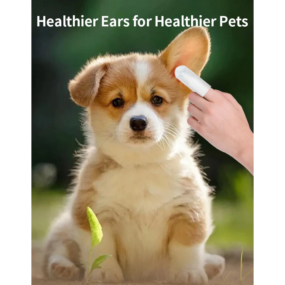 Ear Care Fingertips for Cat & Dog Mite Removal & Ear Cleaning