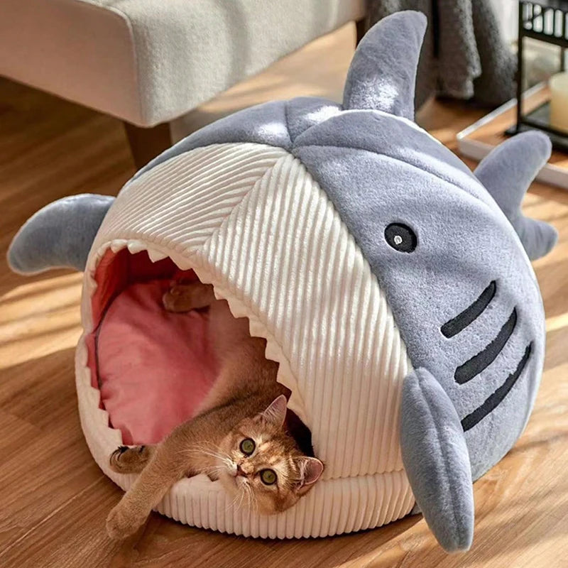 Cartoon Shark Pet Cave