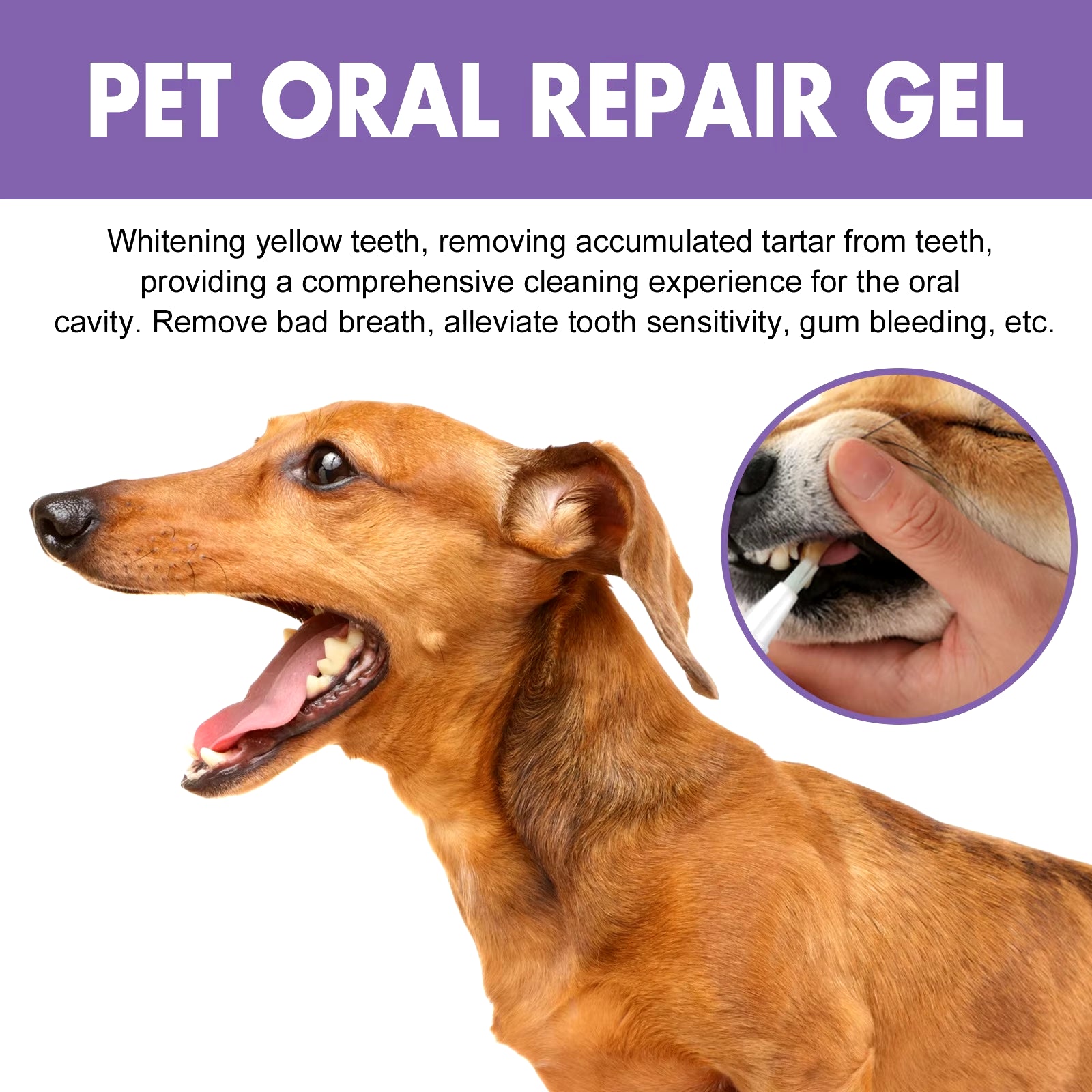  Deep Cleaning for Dog & Cat Tooth Stains and Oral Care